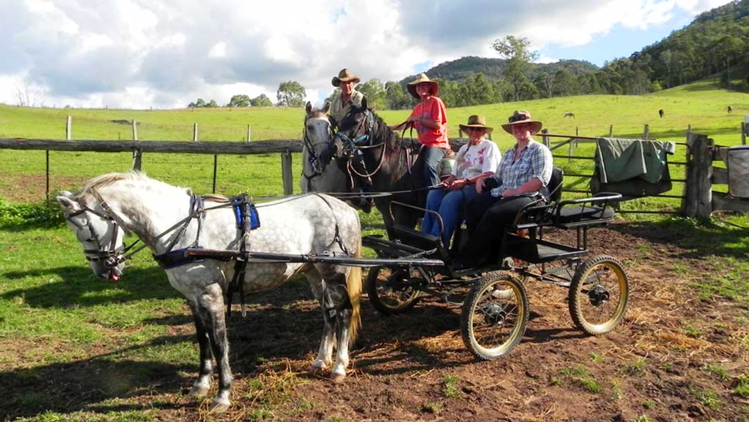 A family riding horses and a horse-drawn carriage on a farm